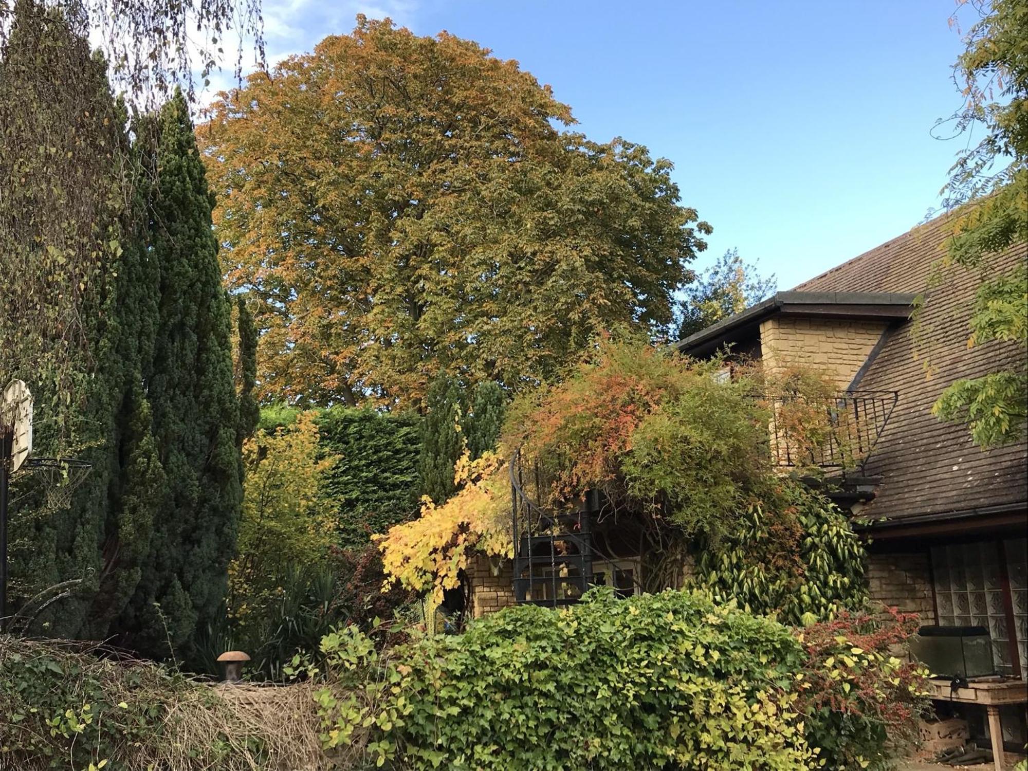 Sandford Meadow Guest House Kennington  Ruang foto
