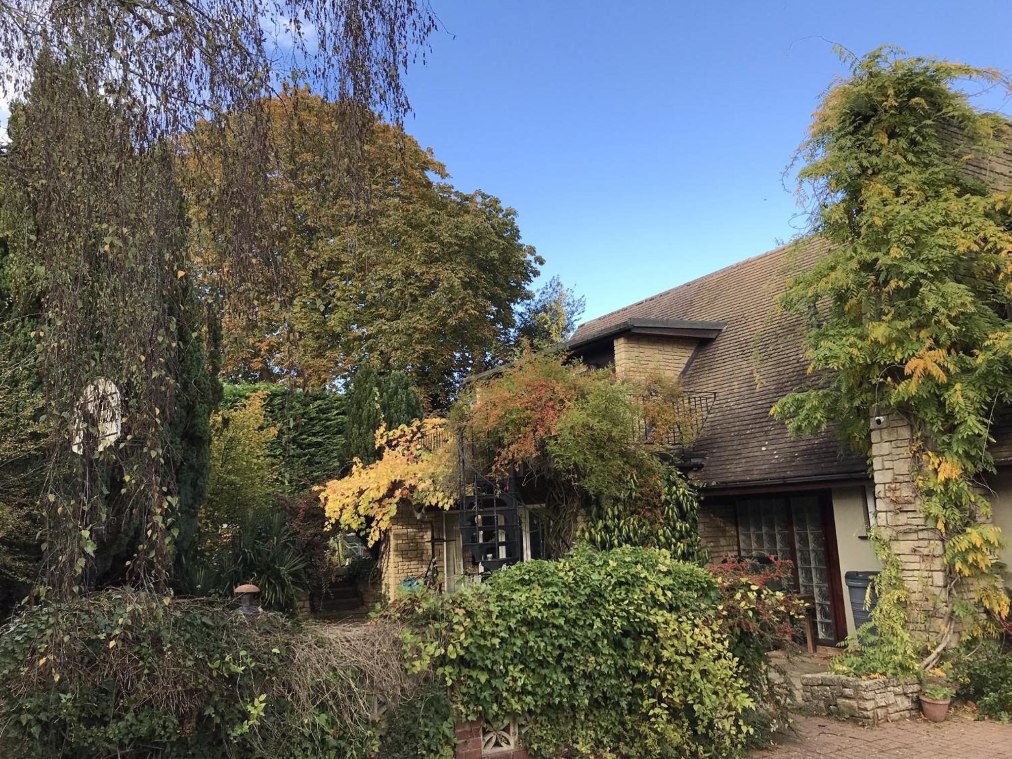 Sandford Meadow Guest House Kennington  Bagian luar foto